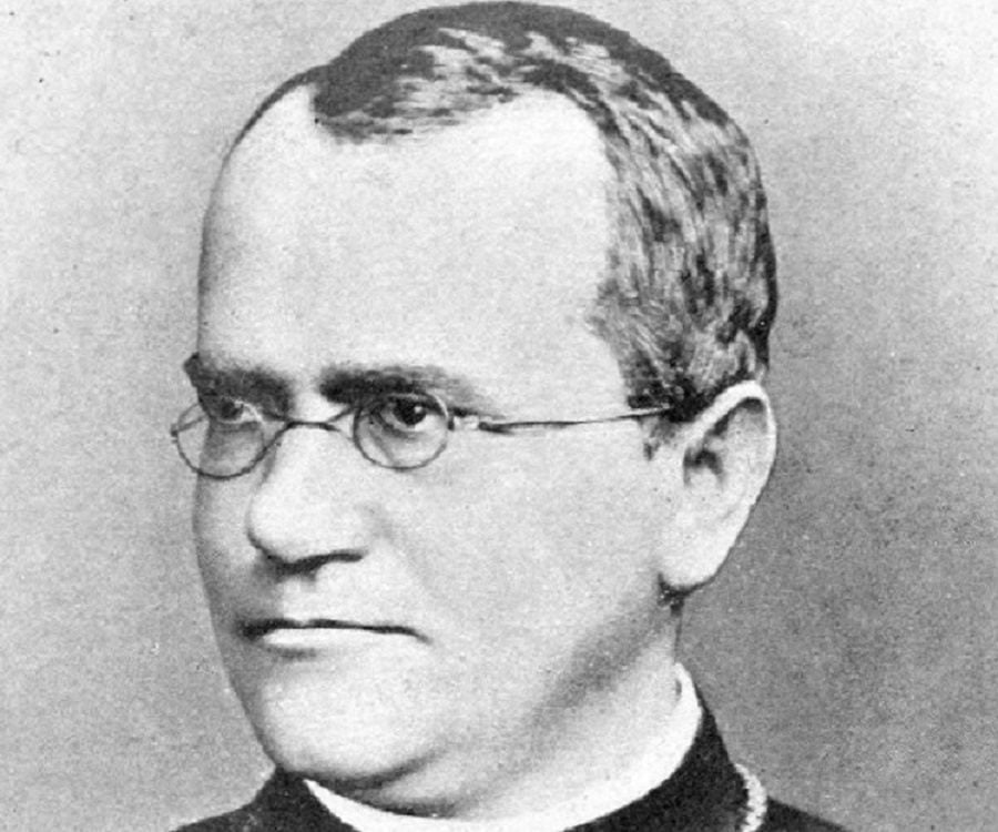 Biografi Gregor Mendel – Coretan