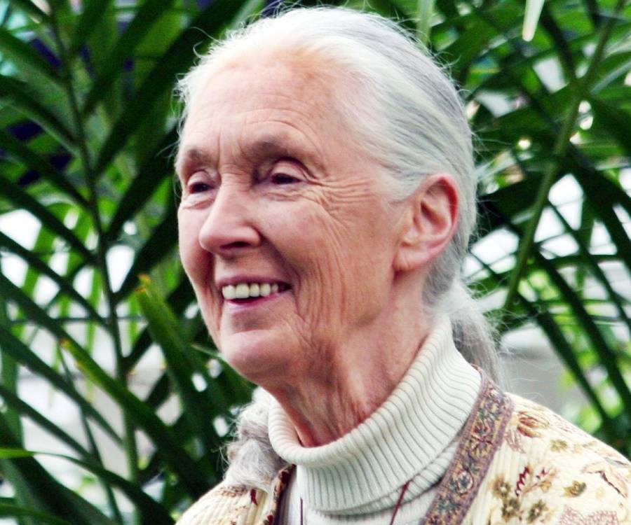 Jane Goodall Biography - Childhood, Life Achievements 