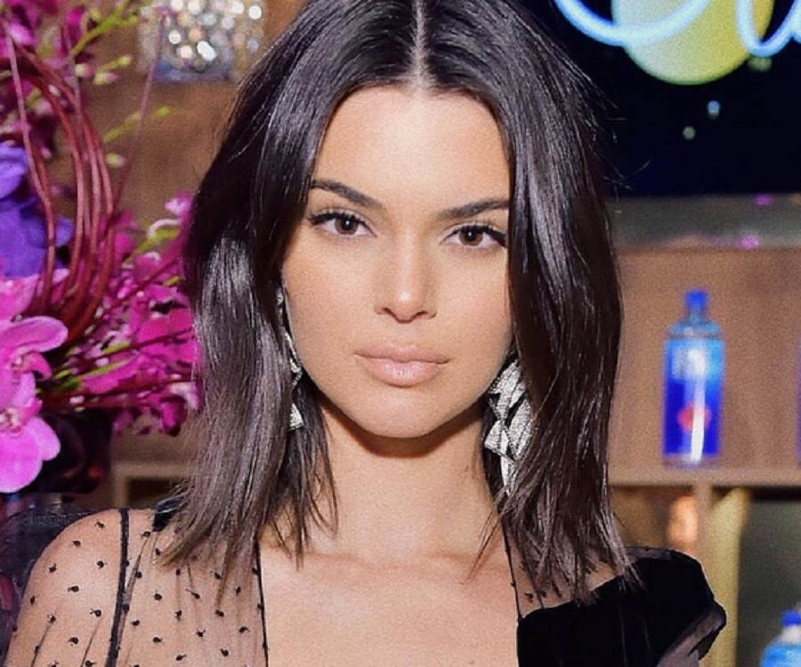 Kendall Jenner Biography Facts Childhood Family Achievements Of Tv Personality Model