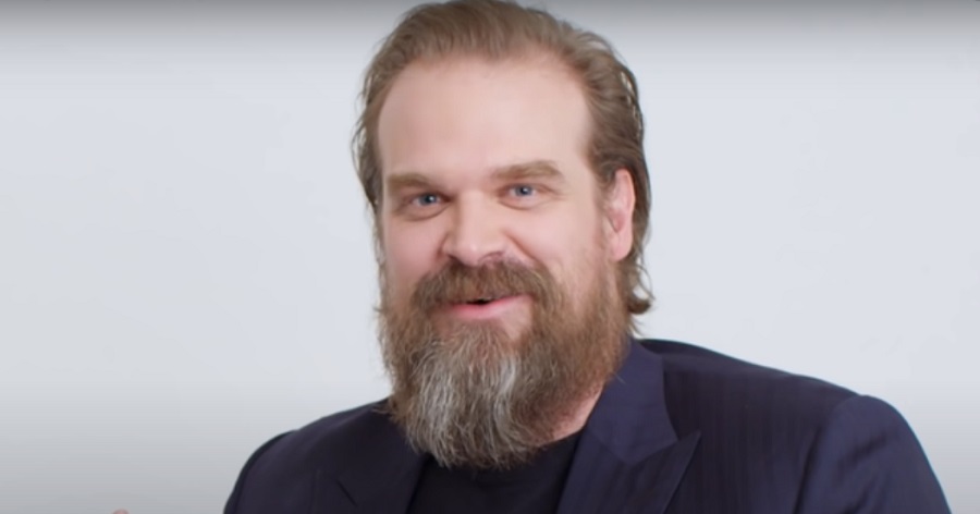 Next photo of David Harbour