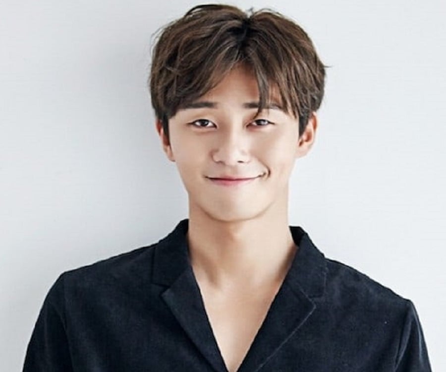 Park Seo Joon Zoom Background Images - IMAGESEE