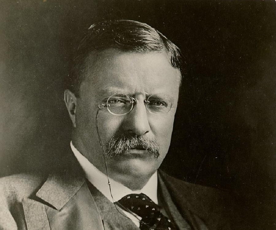 best biography about teddy roosevelt
