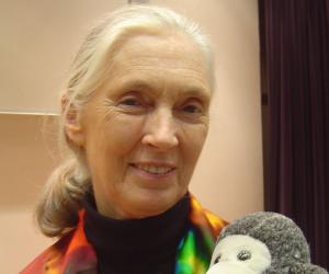 Jane Goodall